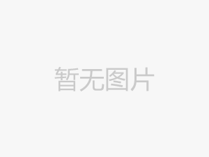 埃米頓雙色沾塑活動(dòng)扳手